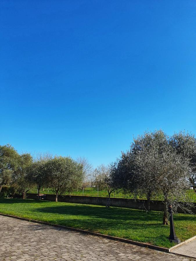 Apartamento Il Camino Rosso Sandrigo Exterior foto